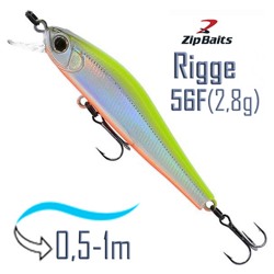 Rigge 56 F-205R - фото