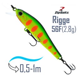 Rigge 56 F-313R - фото