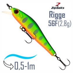 Rigge 56 F- ZR10R - фото