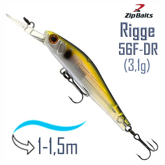 Rigge 56 F-DR 018R