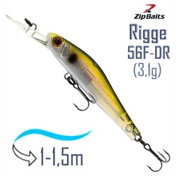 Rigge 56 F-DR 018R - фото