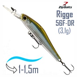 Rigge 56 F-DR 021R - фото