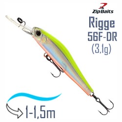 Rigge 56 F-DR 205R - фото