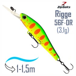Rigge 56 F-DR 313R - фото