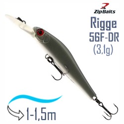 Rigge 56 F-DR 558R - фото