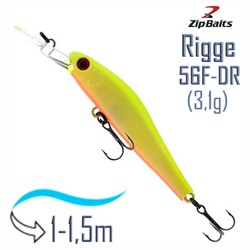 Rigge 56 F-DR 564R - фото