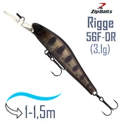 Rigge 56 F-DR 813R - фото