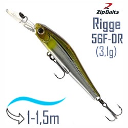 Rigge 56 F-DR 820R - фото