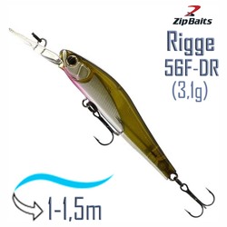 Rigge 56 F-DR 854R - фото