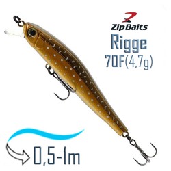 Rigge 70 F-029R - фото