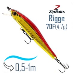 Rigge 70 F-703R - фото