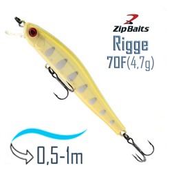Rigge 70 F-852R - фото