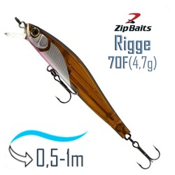 Rigge 70 F-854R - фото