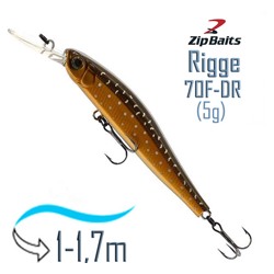 Rigge 70 F-DR-029R - фото