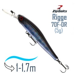 Rigge 70 F-DR-046R - фото