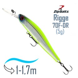 Rigge 70 F-DR-202R - фото
