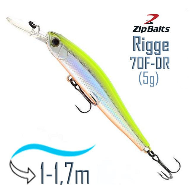Rigge 70 F-DR-205R