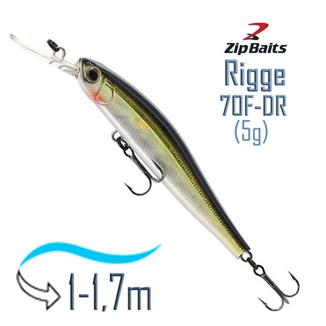 Rigge 70 F-DR-300R