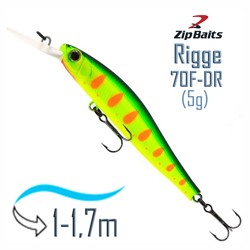Rigge 70 F-DR-313R - фото