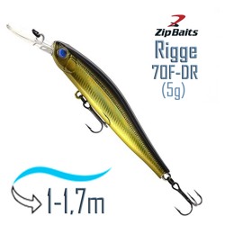 Rigge 70 F-DR-522R - фото