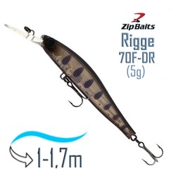 Rigge 70 F-DR-813R - фото