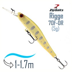 Rigge 70 F-DR-852R - фото