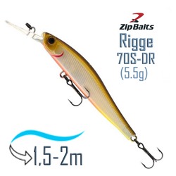 Rigge 70 S-DR-039R - фото