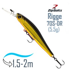 Rigge 70 S-DR-050R - фото