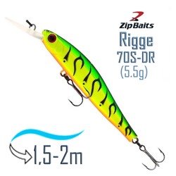 Rigge 70 S-DR-070R - фото