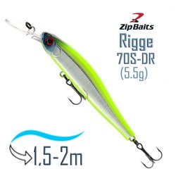 Rigge 70 S-DR-202R - фото