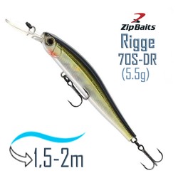 Rigge 70 S-DR-300R . - фото