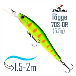 Rigge 70 S-DR-313R - фото