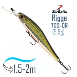 Rigge 70 S-DR-600R - фото