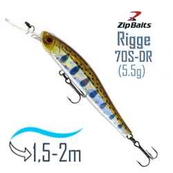 Rigge 70 S-DR-810R - фото