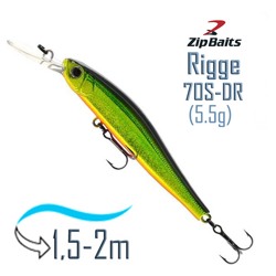 Rigge 70 S-DR-830R - фото