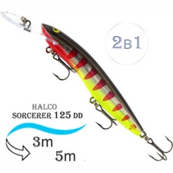 Sorcerer 125 DD-R04 - фото