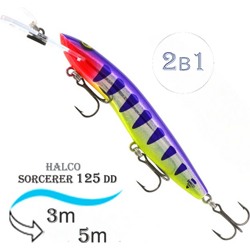 Sorcerer 125 DD-R24 - фото