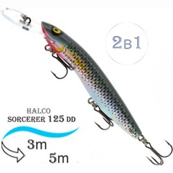 Sorcerer 125 DD-R25 - фото