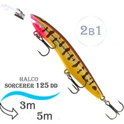 Sorcerer 125 DD-R31 - фото