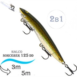 Sorcerer 125 DD-R32 - фото