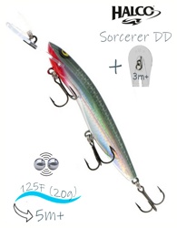 Sorcerer 125 DD-Russia 01 - фото