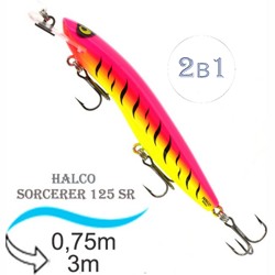 Sorcerer 125 SR-R01 - фото