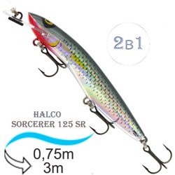 Sorcerer 125 SR-R25 - фото