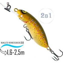 Sorcerer  52 DD-H59 - фото