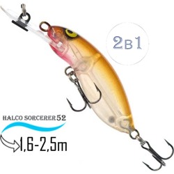 Sorcerer  52 DD-R33 - фото