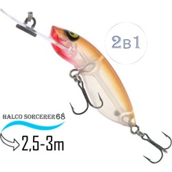 Sorcerer  68 DD-R33 - фото