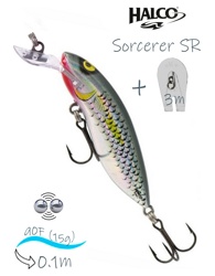 Sorcerer  90 SR R25 - фото