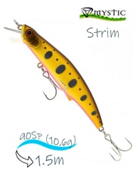 Strim 90 SP 009 - фото