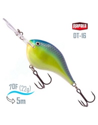 DT16 CRSD Dives-To - фото