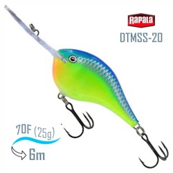 DTMSS20 CRSD - фото